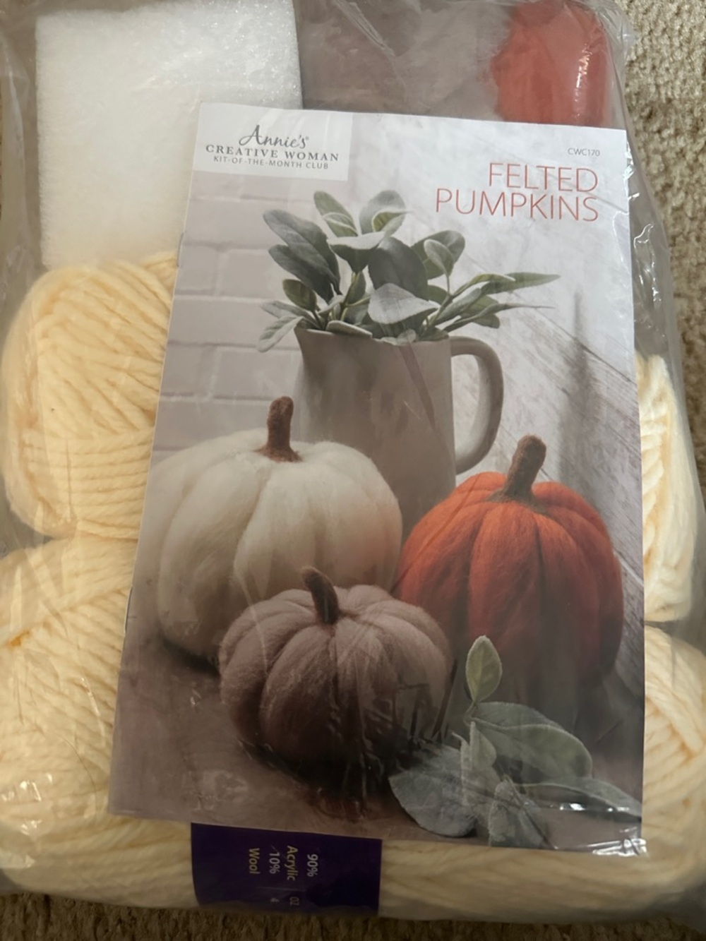 Annie Felted Pumpkin Craft Set in Cream, Orange, Brown